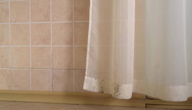  Rden City, GA Mold Removal Pros