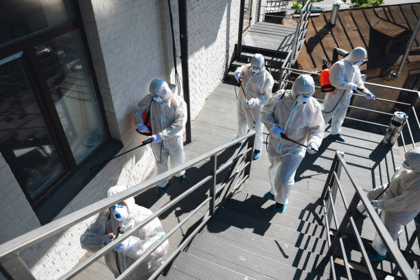 Best Mold Damage Restoration  in Rden City, GA