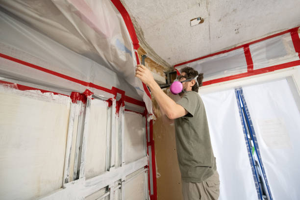 Best Real Estate Mold Inspection  in Rden City, GA
