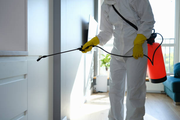 Best Water Damage & Mold Remediation  in Rden City, GA