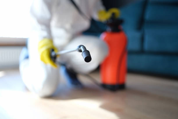 Best Crawl Space Mold Remediation  in Rden City, GA